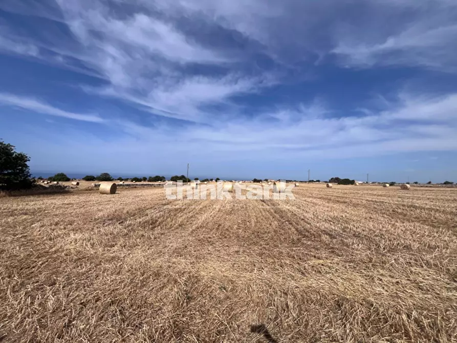 Immagine 24 di Terreno agricolo in vendita  in Contrada Mangiabove a Ragusa