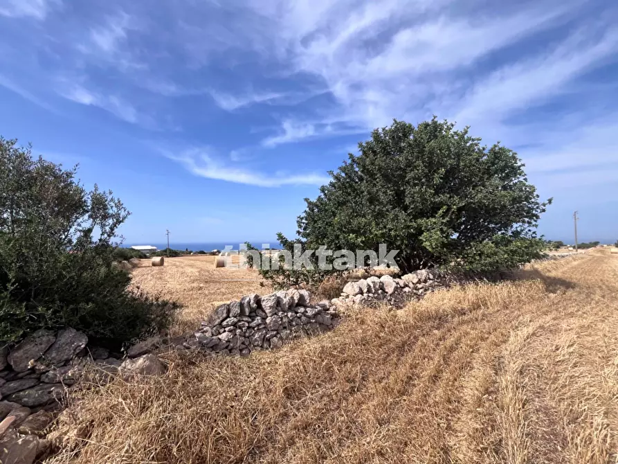 Immagine 25 di Terreno agricolo in vendita  in Contrada Mangiabove a Ragusa