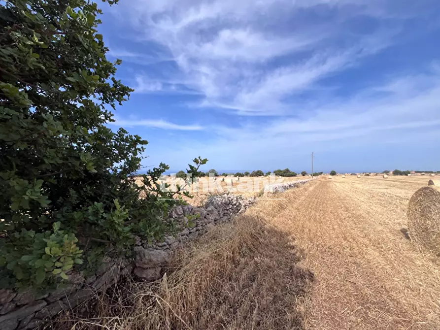 Immagine 26 di Terreno agricolo in vendita  in Contrada Mangiabove a Ragusa