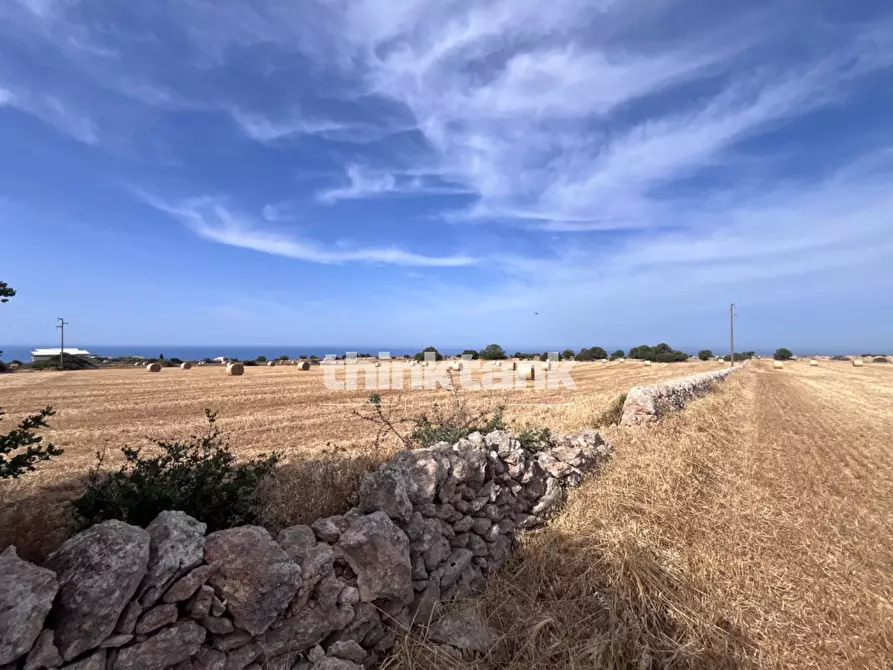 Immagine 27 di Terreno agricolo in vendita  in Contrada Mangiabove a Ragusa
