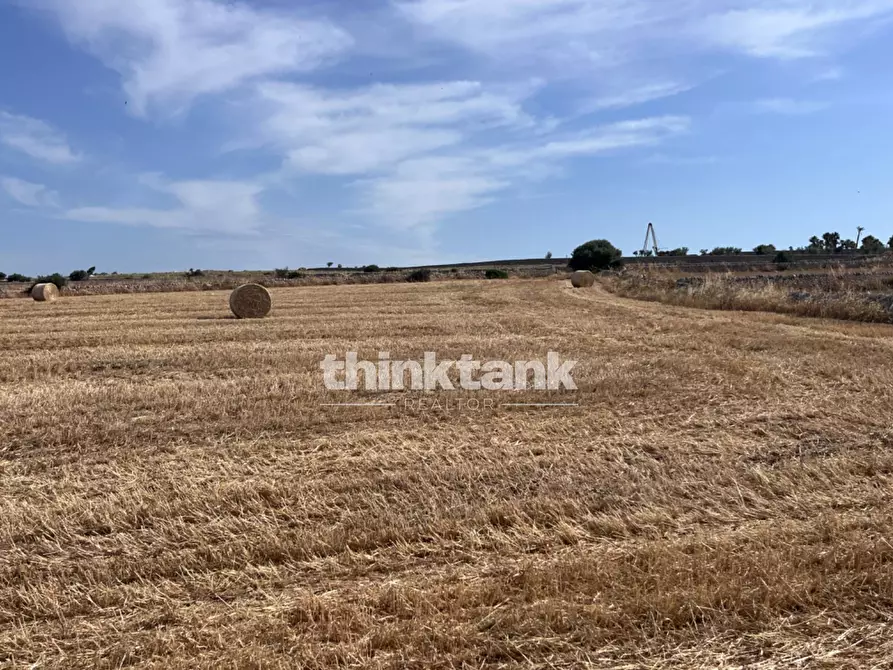 Immagine 30 di Terreno agricolo in vendita  in Contrada Mangiabove a Ragusa