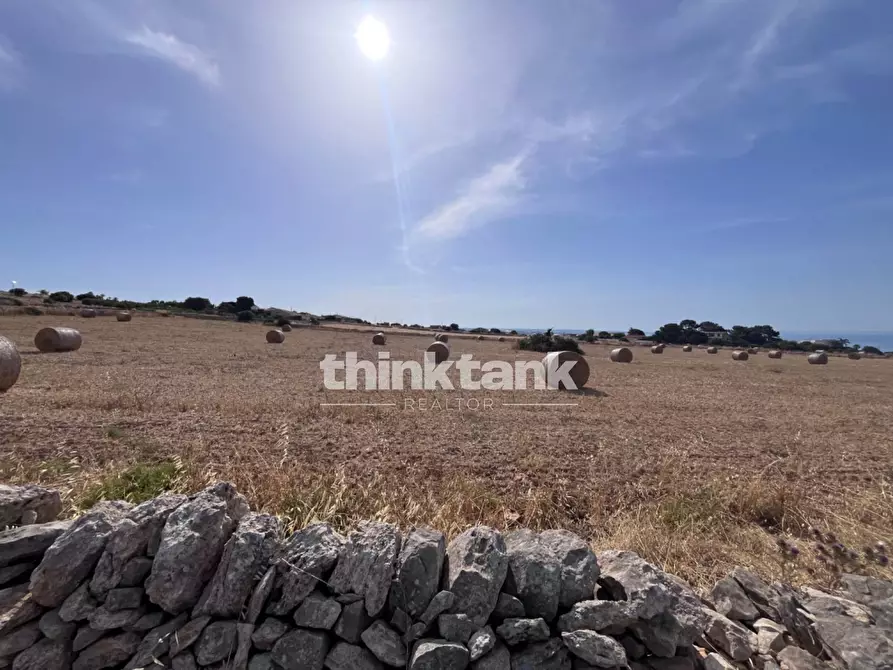 Immagine 33 di Terreno agricolo in vendita  in Contrada Mangiabove a Ragusa