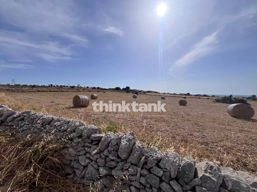 Immagine 34 di Terreno agricolo in vendita  in Contrada Mangiabove a Ragusa