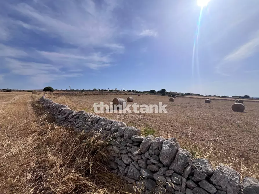 Immagine 35 di Terreno agricolo in vendita  in Contrada Mangiabove a Ragusa
