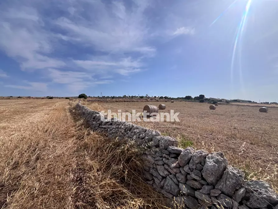 Immagine 36 di Terreno agricolo in vendita  in Contrada Mangiabove a Ragusa