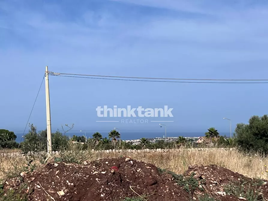 Immagine 5 di Terreno agricolo in vendita  in sp 25 a Ragusa