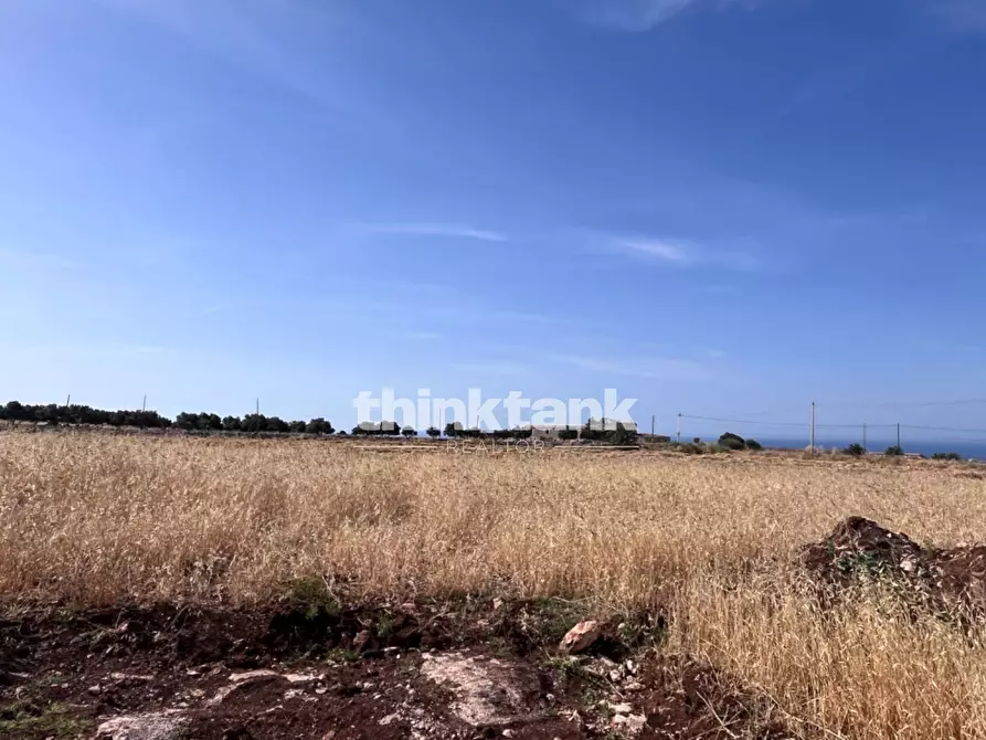 Immagine 6 di Terreno agricolo in vendita  in sp 25 a Ragusa