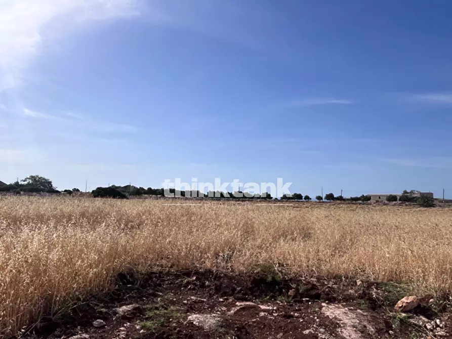 Immagine 7 di Terreno agricolo in vendita  in sp 25 a Ragusa