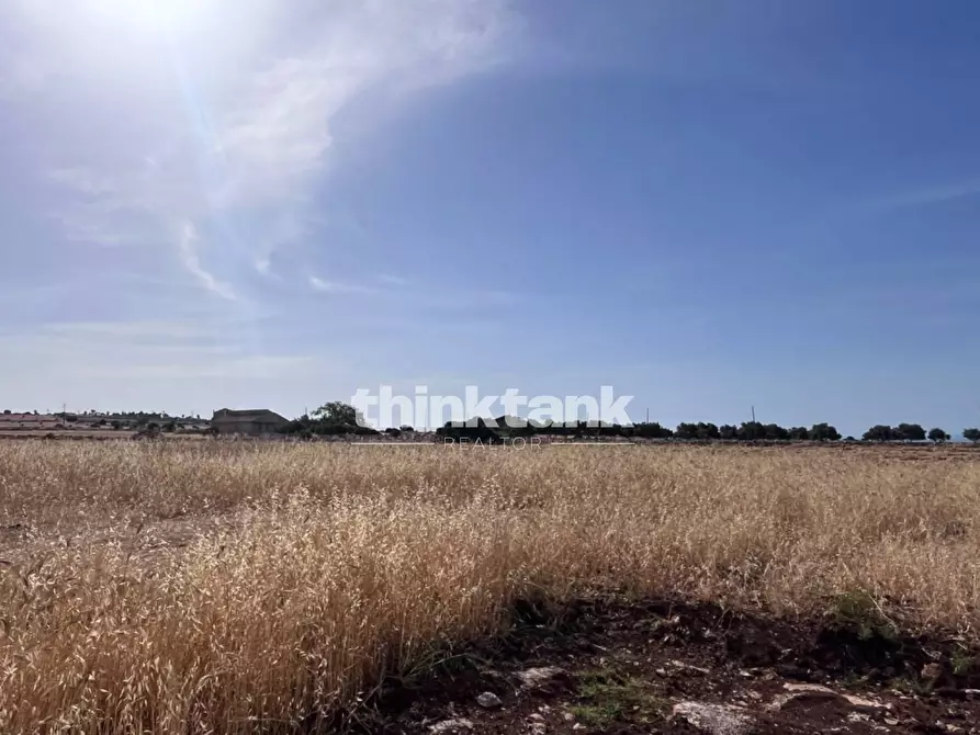 Immagine 8 di Terreno agricolo in vendita  in sp 25 a Ragusa
