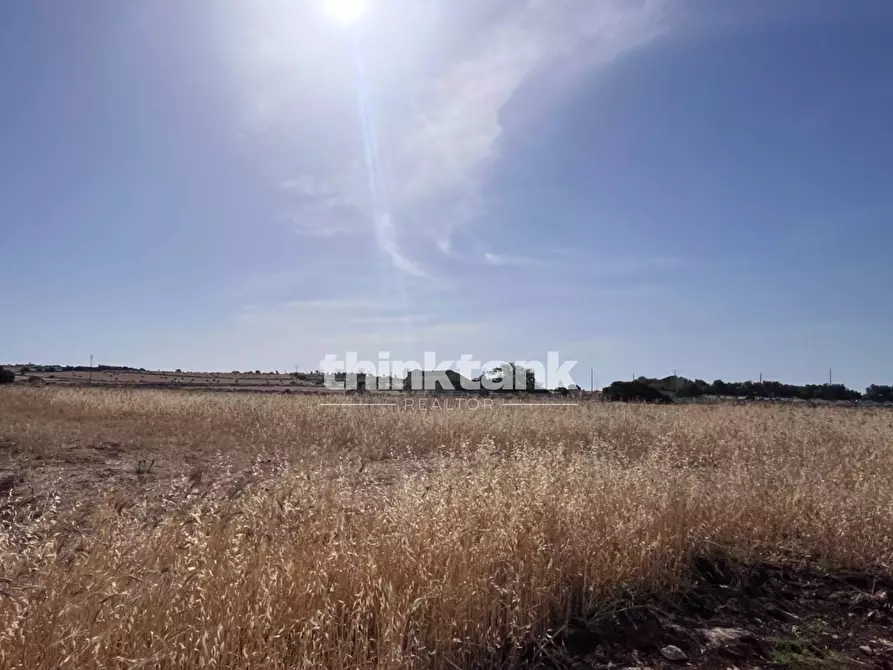Immagine 9 di Terreno agricolo in vendita  in sp 25 a Ragusa