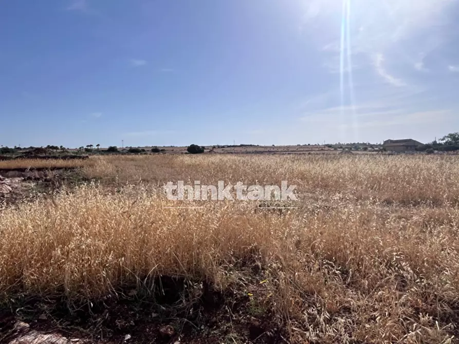 Immagine 13 di Terreno agricolo in vendita  in sp 25 a Ragusa