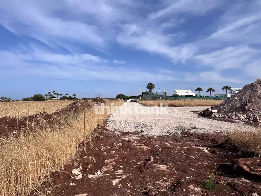 Immagine 15 di Terreno agricolo in vendita  in sp 25 a Ragusa
