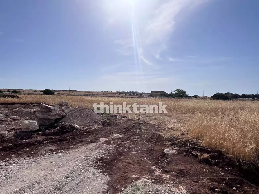 Immagine 16 di Terreno agricolo in vendita  in sp 25 a Ragusa