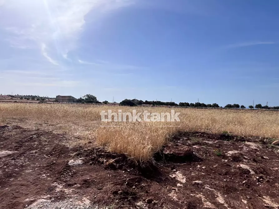 Immagine 17 di Terreno agricolo in vendita  in sp 25 a Ragusa