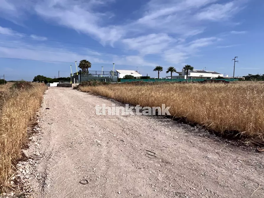 Immagine 18 di Terreno agricolo in vendita  in sp 25 a Ragusa