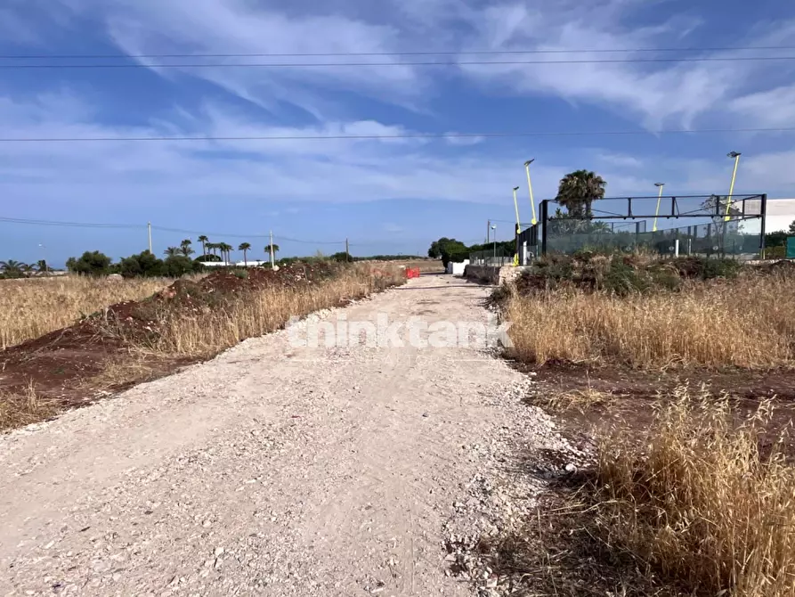 Immagine 19 di Terreno agricolo in vendita  in sp 25 a Ragusa