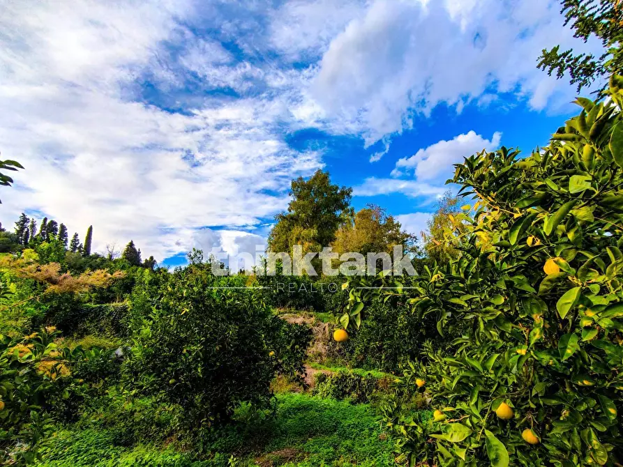 Immagine 45 di Villa in vendita  in Strada 9 Praiola SNC a Riposto