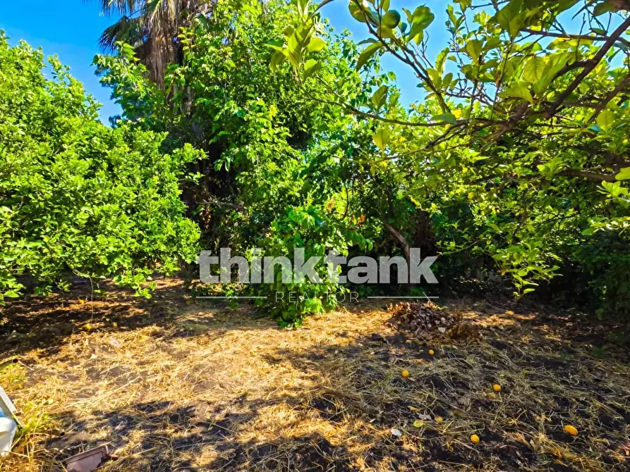 Immagine 48 di Villa in vendita  in Strada 9 Praiola SNC a Riposto