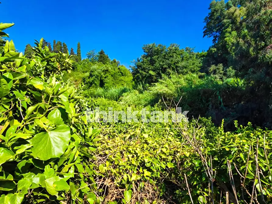 Immagine 50 di Villa in vendita  in Strada 9 Praiola SNC a Riposto