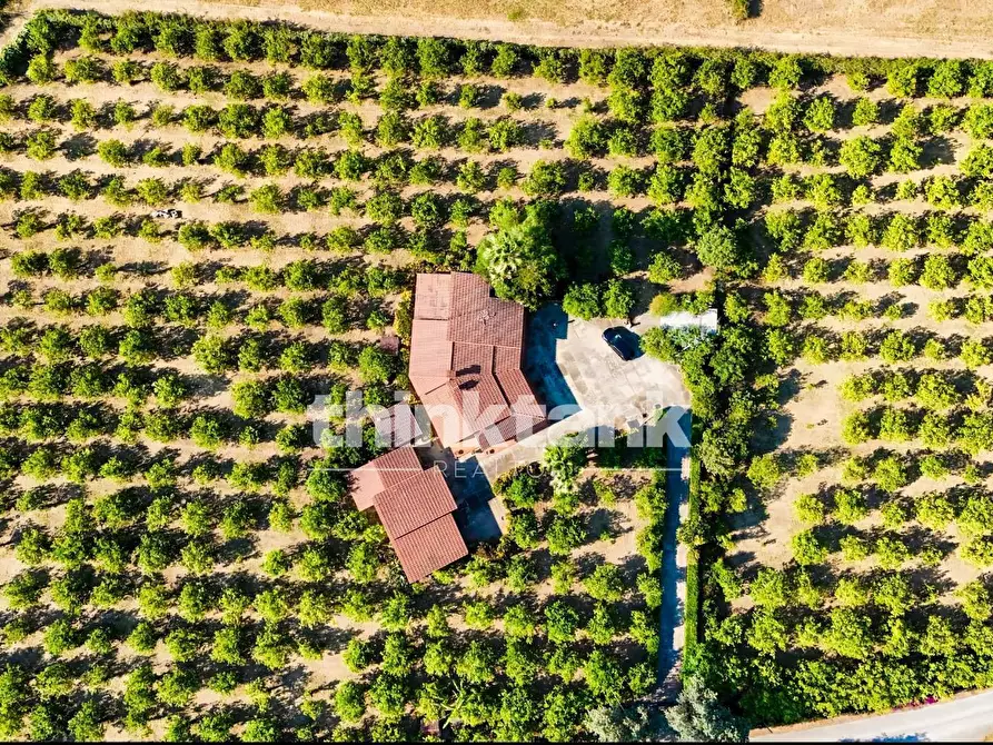 Immagine 4 di Villa in vendita  in Via Bella Pettinata a Avola