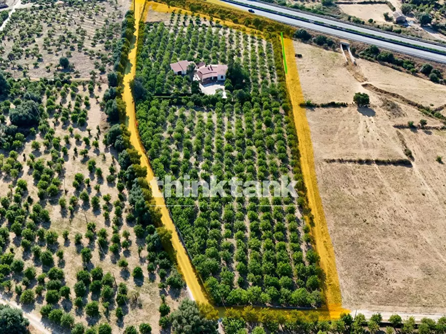 Immagine 5 di Villa in vendita  in Via Bella Pettinata a Avola