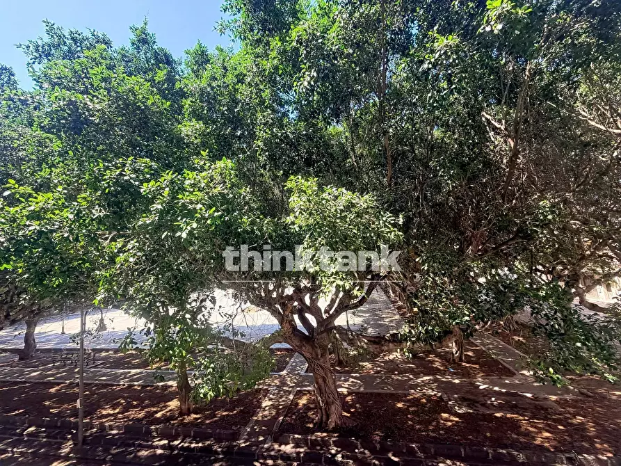 Immagine 2 di Appartamento in vendita  in Piazza Santa Lucia 52 a Siracusa