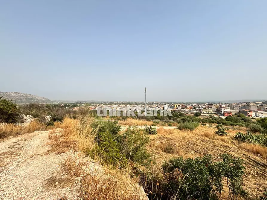 Immagine 4 di Terreno agricolo in vendita  in Contrada Soliardo a Buccheri