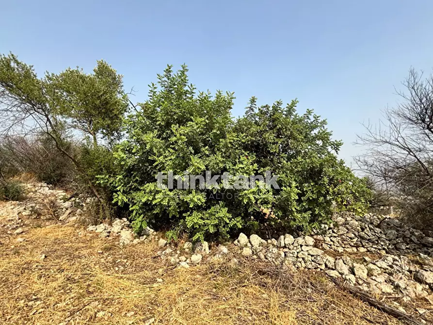 Immagine 8 di Terreno agricolo in vendita  in Contrada Soliardo a Buccheri