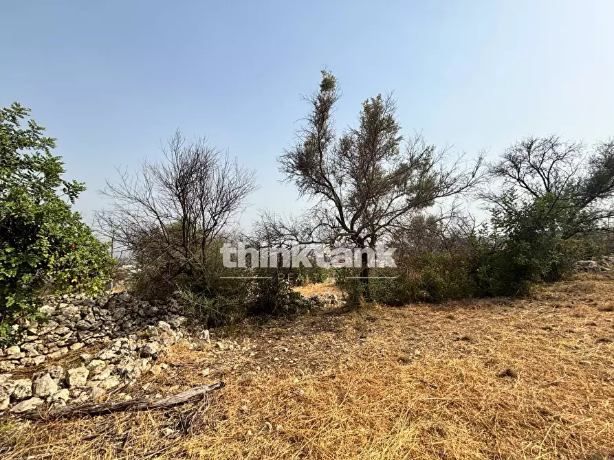 Immagine 9 di Terreno agricolo in vendita  in Contrada Soliardo a Buccheri