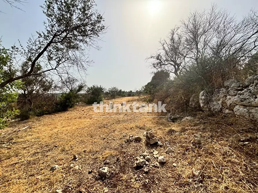 Immagine 11 di Terreno agricolo in vendita  in Contrada Soliardo a Buccheri