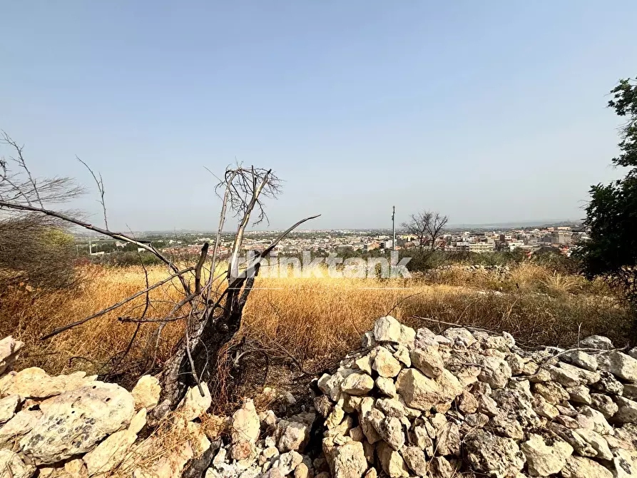 Immagine 13 di Terreno agricolo in vendita  in Contrada Soliardo a Buccheri