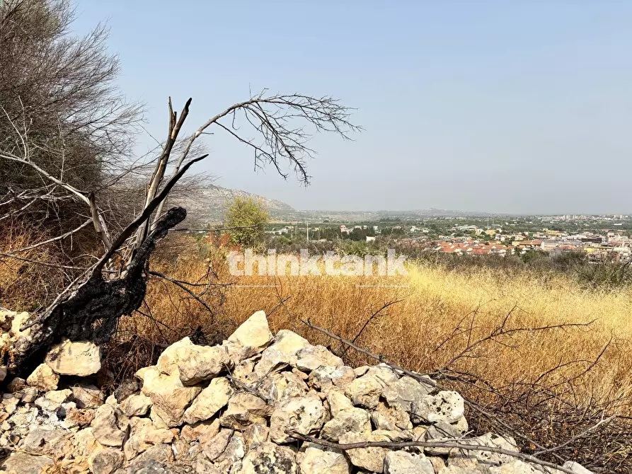 Immagine 18 di Terreno agricolo in vendita  in Contrada Soliardo a Buccheri