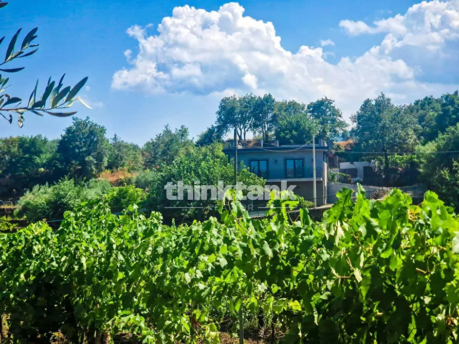 Immagine 6 di Villa in vendita  in Verzella a Castiglione Di Sicilia