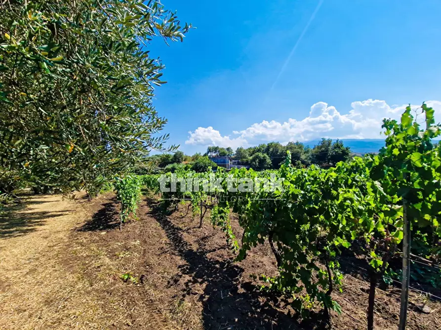 Immagine 30 di Villa in vendita  in Verzella a Castiglione Di Sicilia