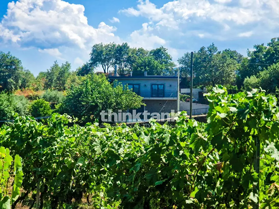 Immagine 29 di Villa in vendita  in Verzella a Castiglione Di Sicilia