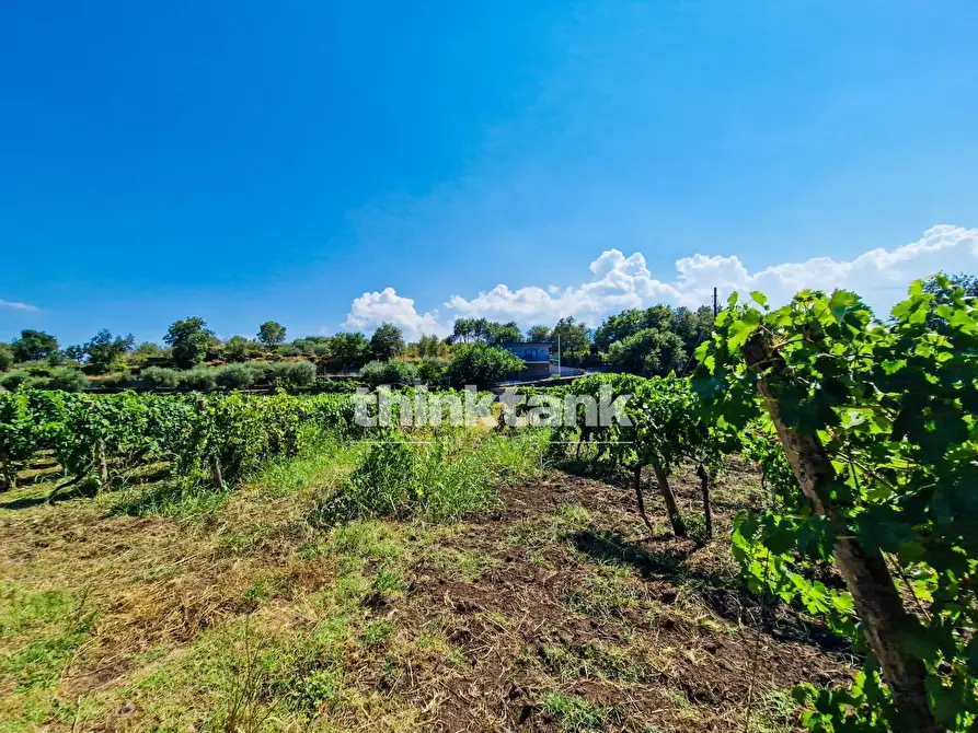 Immagine 31 di Villa in vendita  in Verzella a Castiglione Di Sicilia