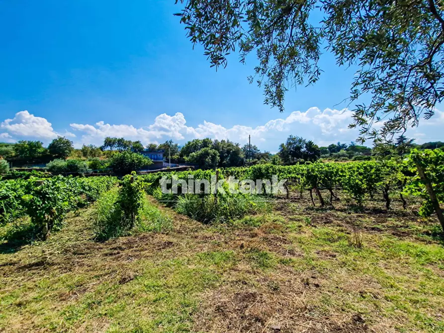 Immagine 33 di Villa in vendita  in Verzella a Castiglione Di Sicilia
