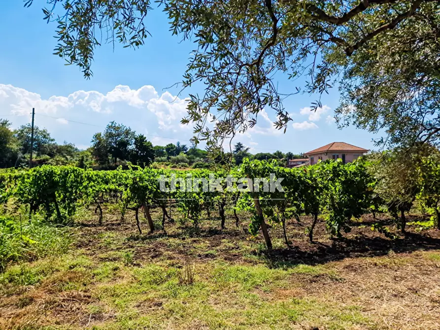 Immagine 34 di Villa in vendita  in Verzella a Castiglione Di Sicilia