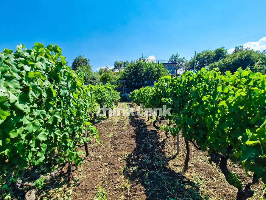 Immagine 37 di Villa in vendita  in Verzella a Castiglione Di Sicilia
