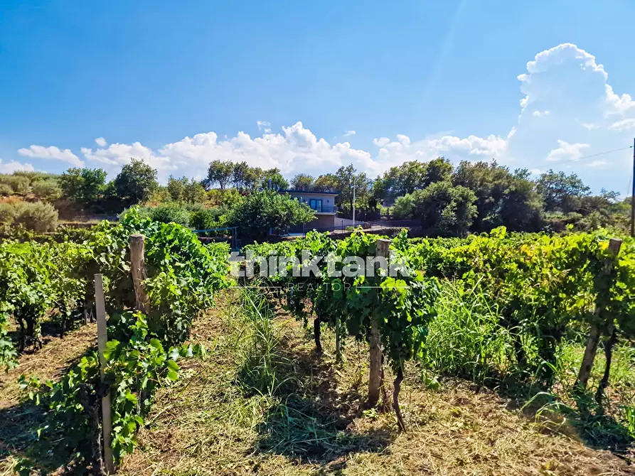 Immagine 50 di Villa in vendita  in Verzella a Castiglione Di Sicilia