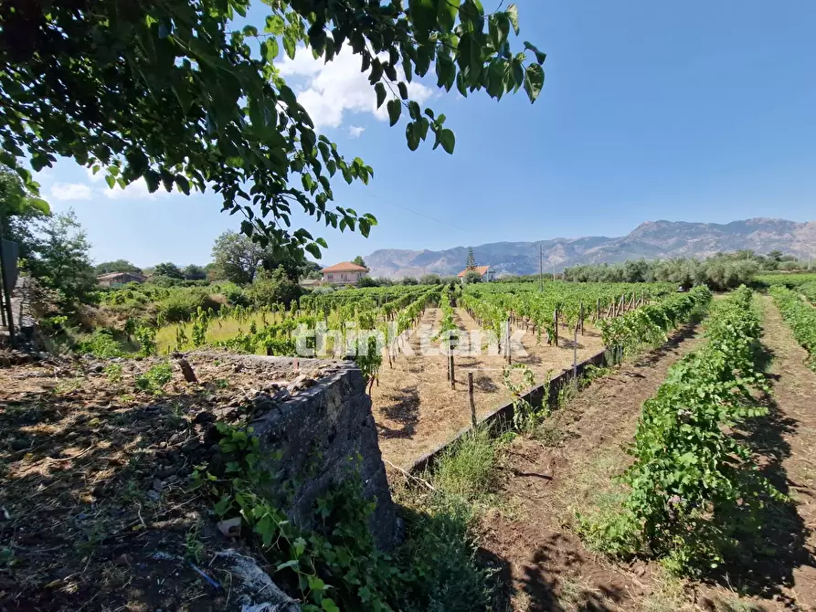 Immagine 39 di Villa in vendita  in Verzella a Castiglione Di Sicilia