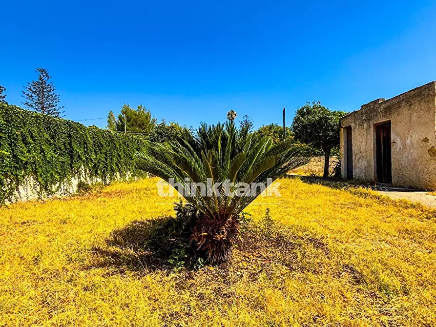Immagine 22 di Villa in vendita  in Via Prometeo a Siracusa