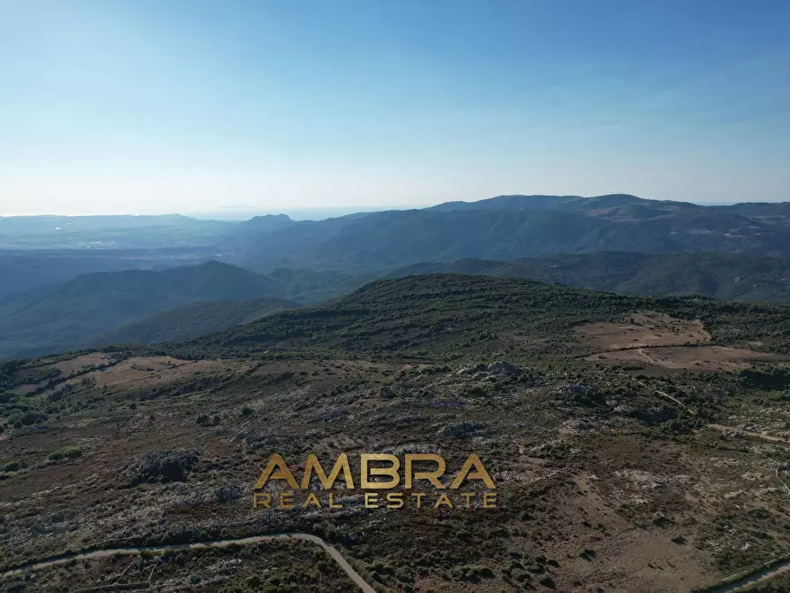 Immagine 32 di Rustico / casale in vendita  a Oschiri