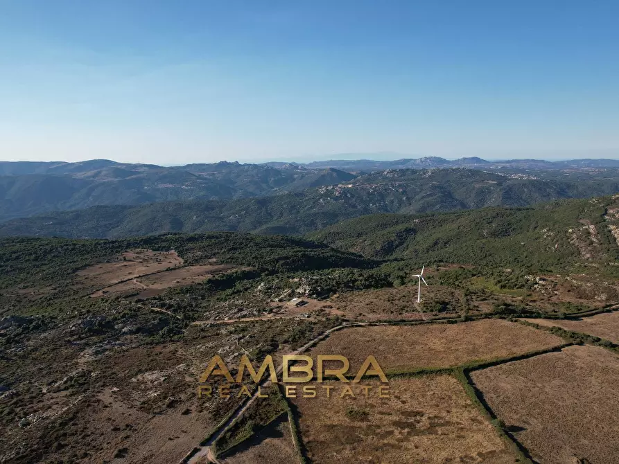 Immagine 33 di Rustico / casale in vendita  a Oschiri