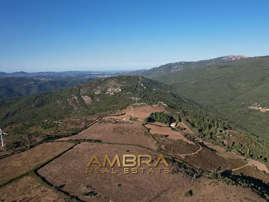 Immagine 34 di Rustico / casale in vendita  a Oschiri