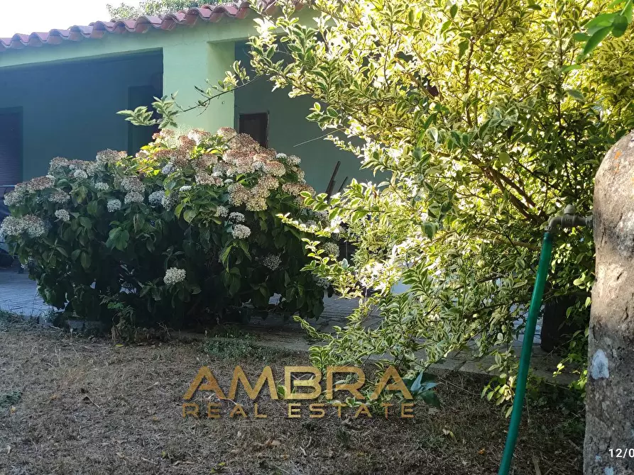 Immagine 20 di Rustico / casale in vendita  a Oschiri