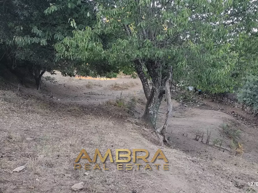 Immagine 27 di Rustico / casale in vendita  a Oschiri