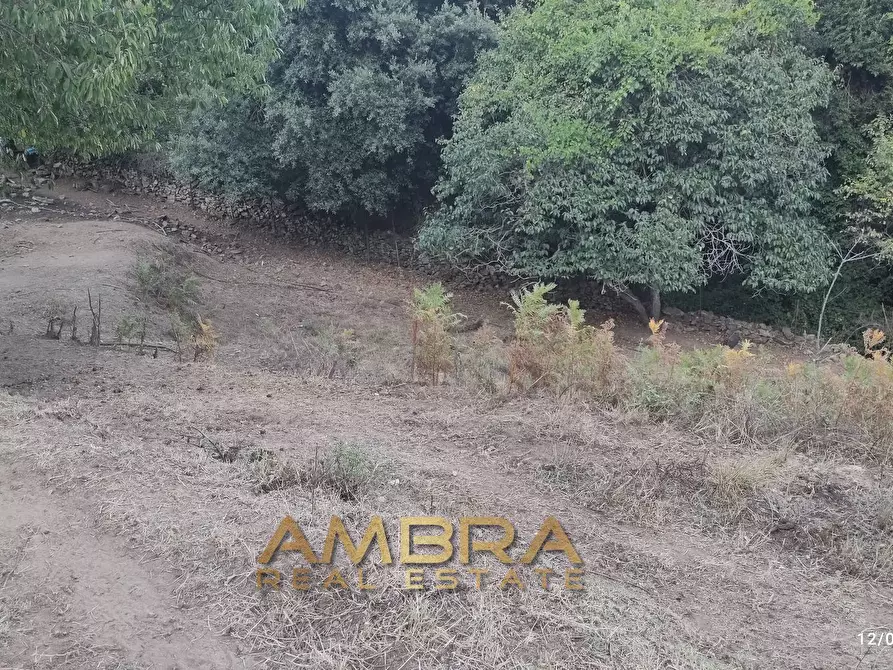 Immagine 28 di Rustico / casale in vendita  a Oschiri