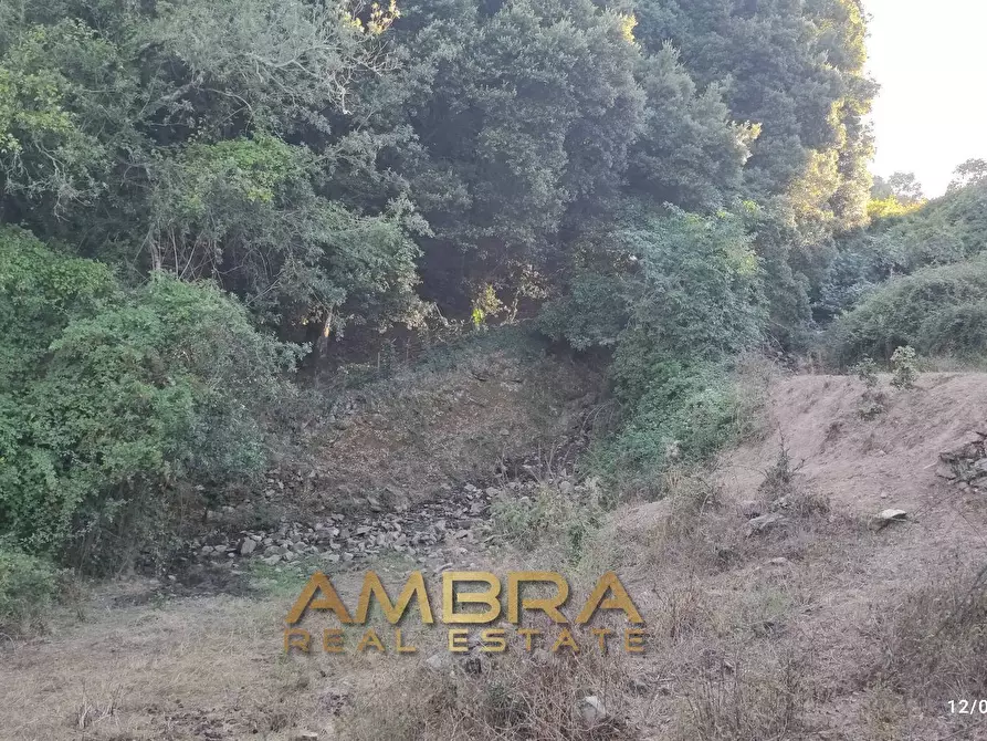 Immagine 30 di Rustico / casale in vendita  a Oschiri