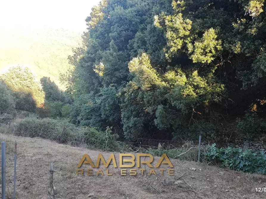 Immagine 31 di Rustico / casale in vendita  a Oschiri